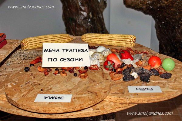Музей на мечката 5