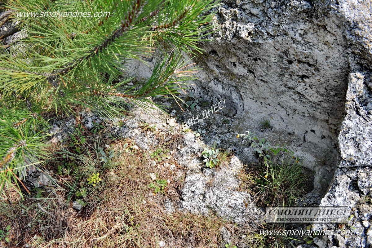 Тракийски погребален комплекс край село Долно Черковище 8