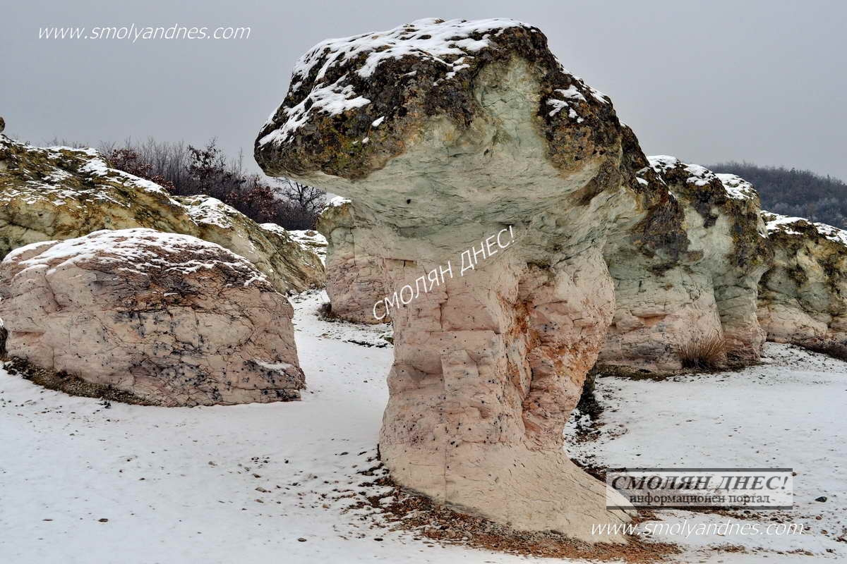Каменни гъби 5