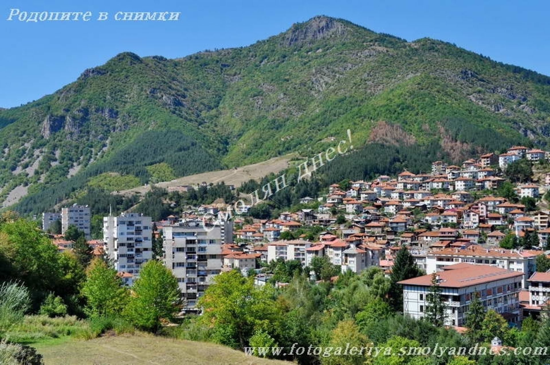 Връх Гребенец