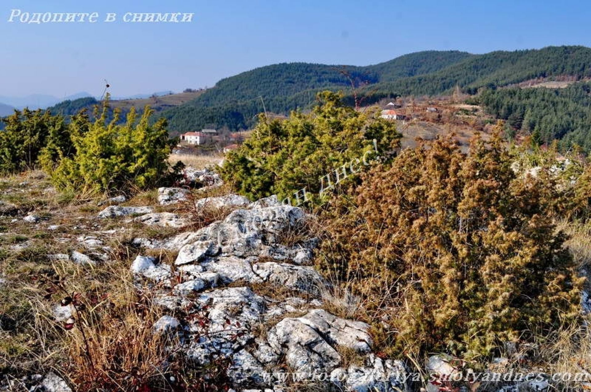 Белите камъни - село Старцево