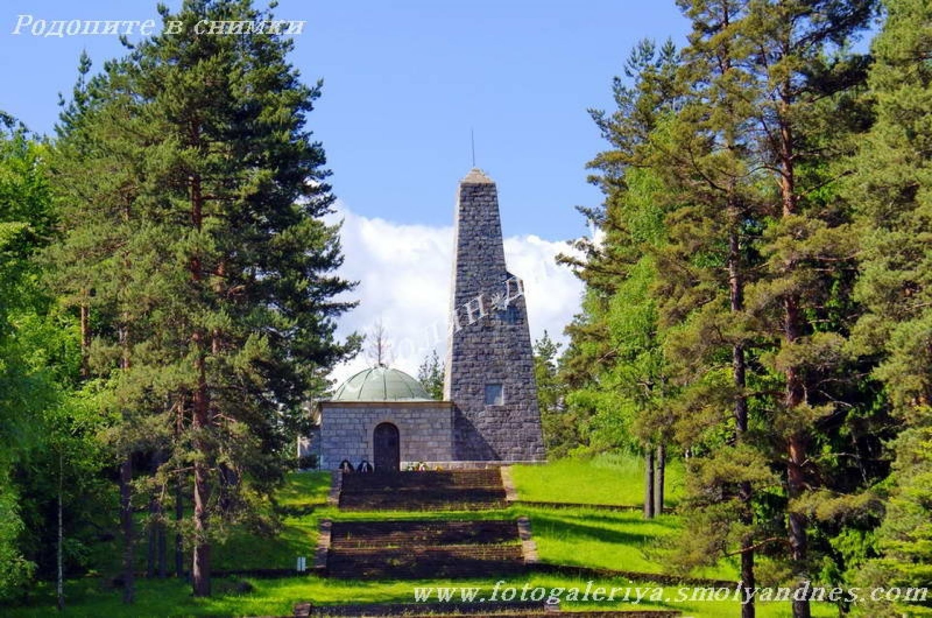 Родопската шипка - Връх Средногорец