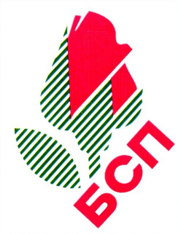 Утвърдиха листата на БСП &ndash; Смолян за изборите на 5 октомври