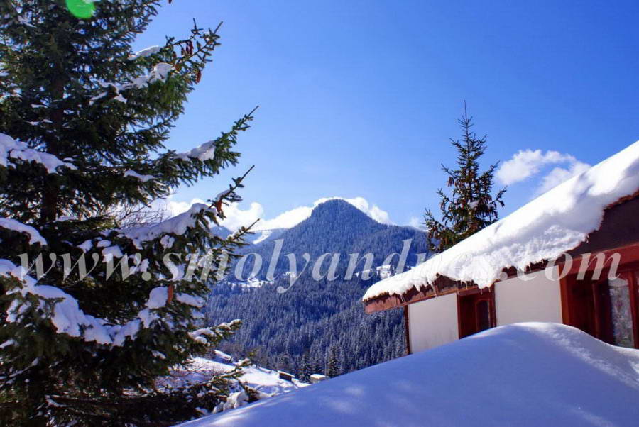 Честита Нова 2013 година!
