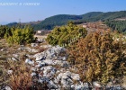 Белите камъни - село Старцево